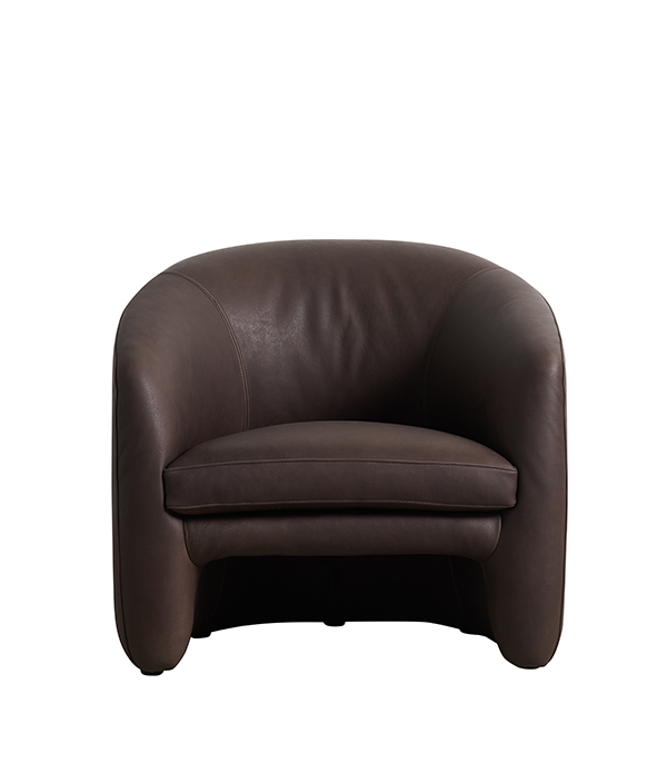 LUDLOW skinnfåtölj - Bild 2