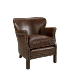 PROFESSOR skinnfåtölj