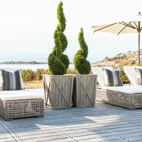 CREEK PLANT kruka - Bild 3