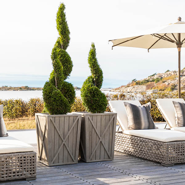 CREEK PLANT kruka - Bild 2